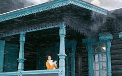 无码中文字幕AV久久专区